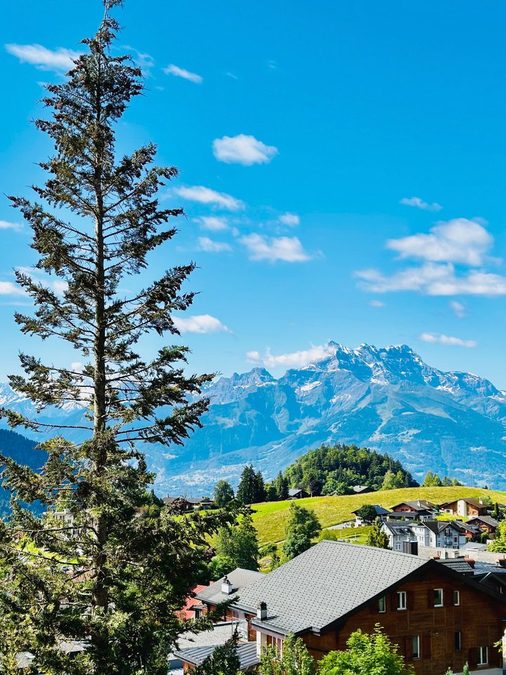 Alpes vaudoises
