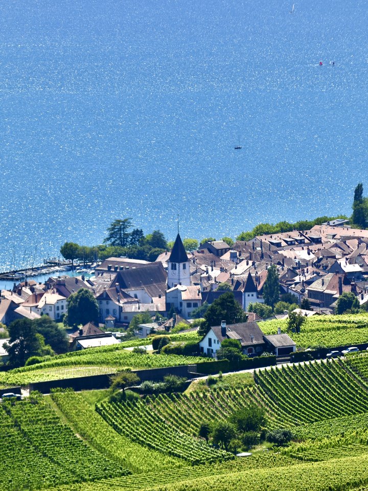 Lavaux