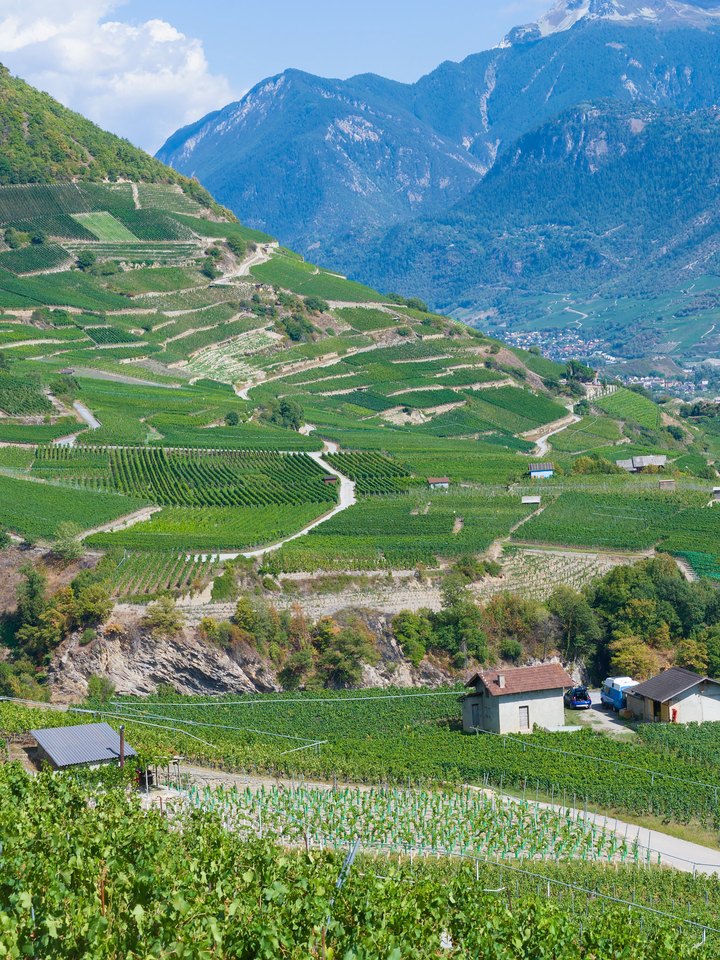 Valais